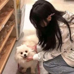 大阪世博会与名古屋花火大会游记